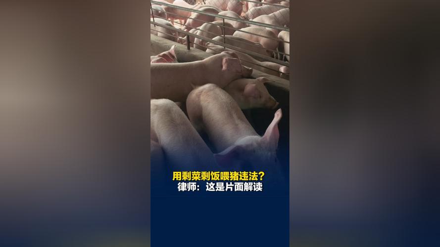 律师:这是片面解读,该规定针对畜禽养殖场